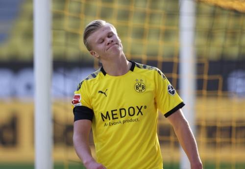 作为球迷 作为球迷